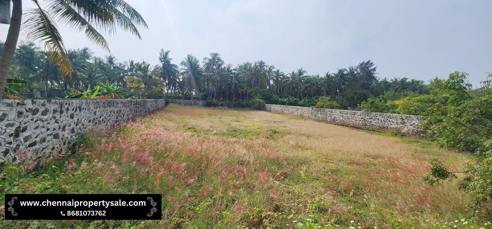 14651 Sqft Vacant Land Sale in Muttukadu ECR