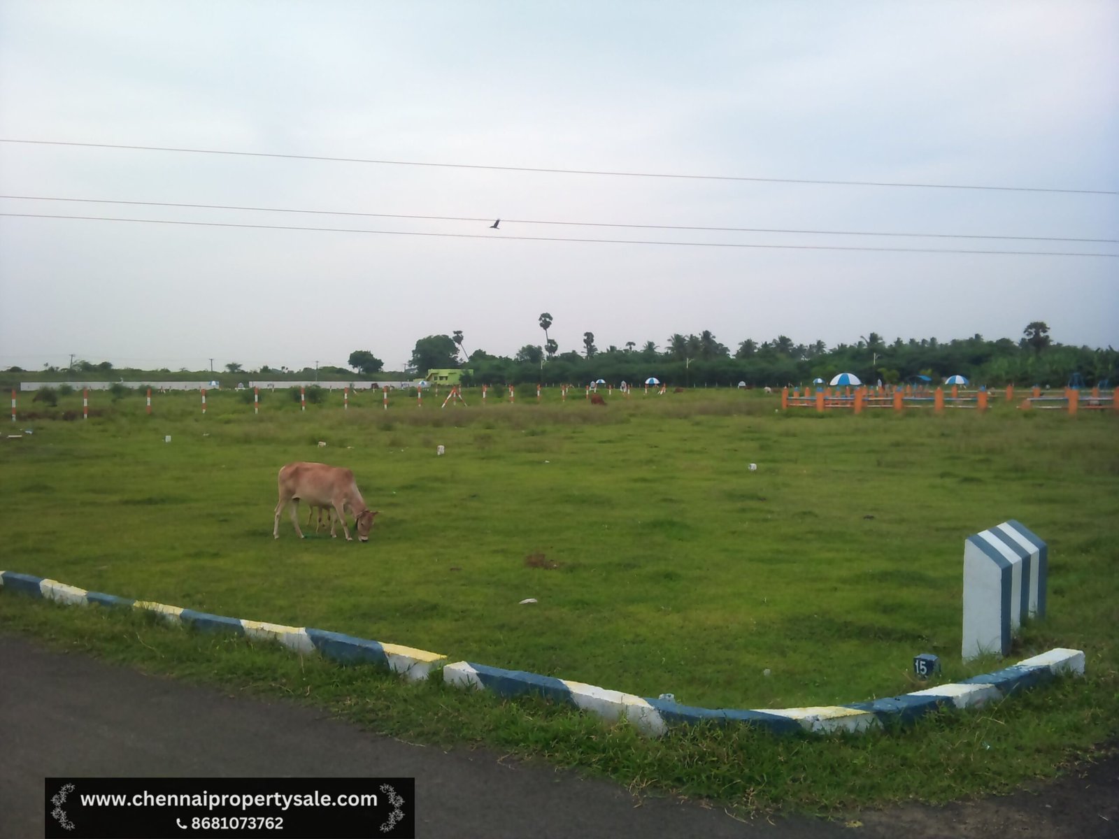 Vacant Land Sale in Chengalpattu
