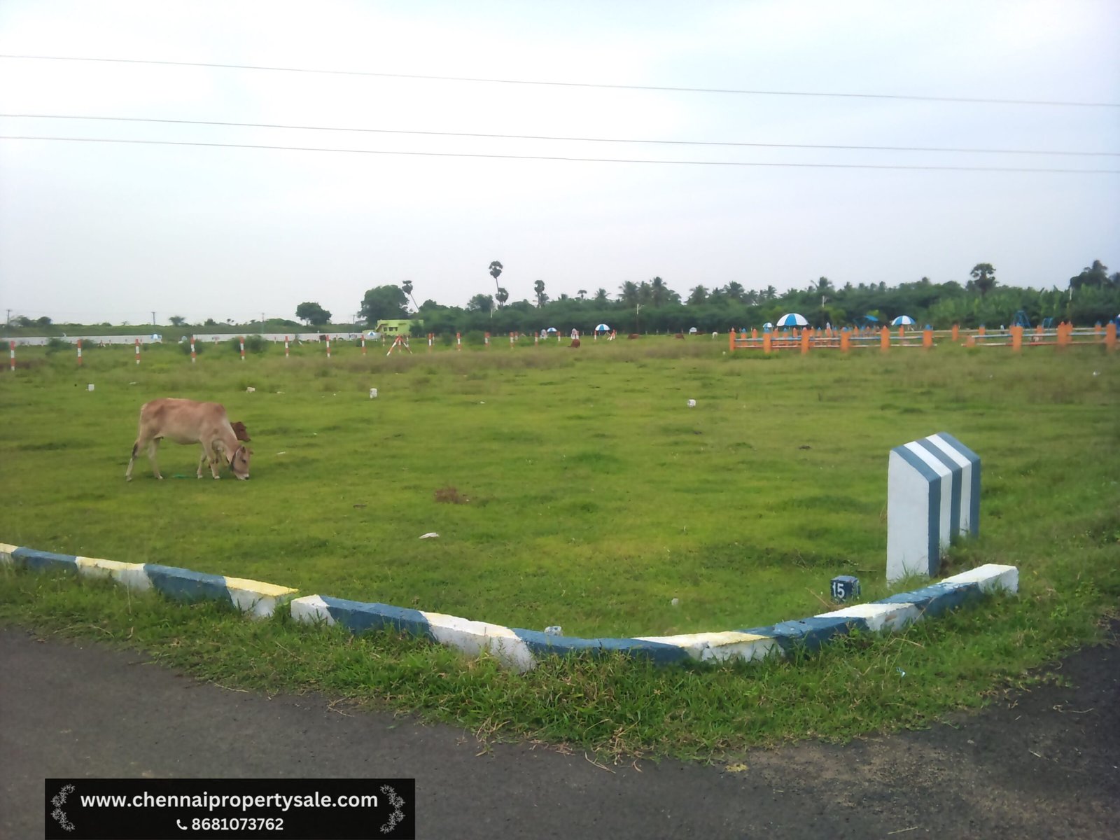 1500 Sqft Vacant Land Sale in Chengalpattu