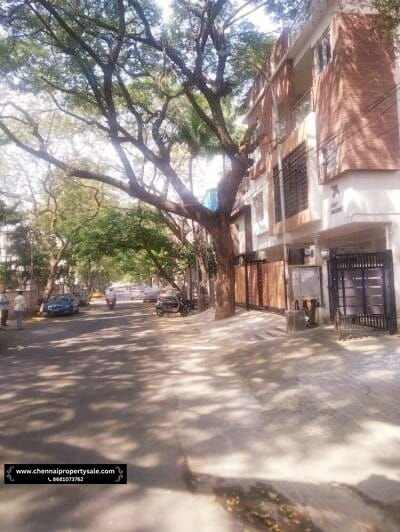 1530 Sqft 3 BHK Flat Sale in Adyar