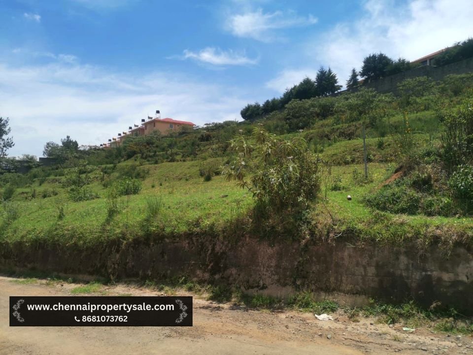 50 Cent Commercial Plot Sale in Nilgiris