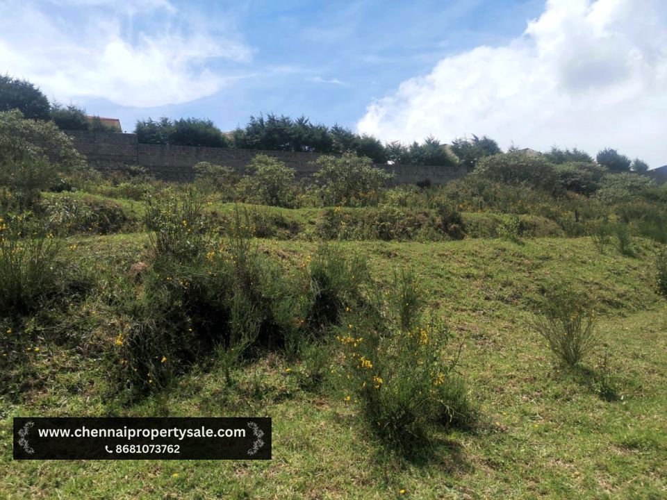 50 Cent Commercial Plot Sale in Nilgiris