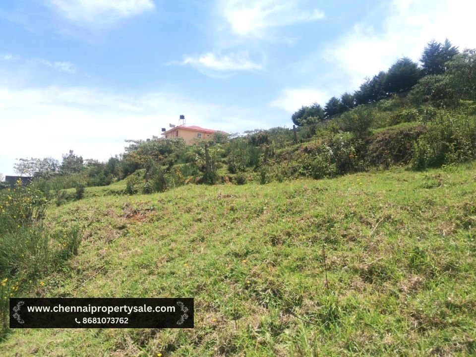50 Cent Commercial Plot Sale in Nilgiris 101 50 Cent Commercial Plot Sale in Nilgiris
