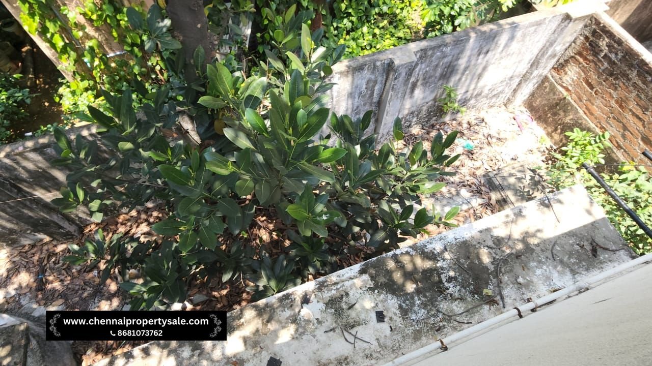 2400 Sqft Individual House Sale in Vadapalani