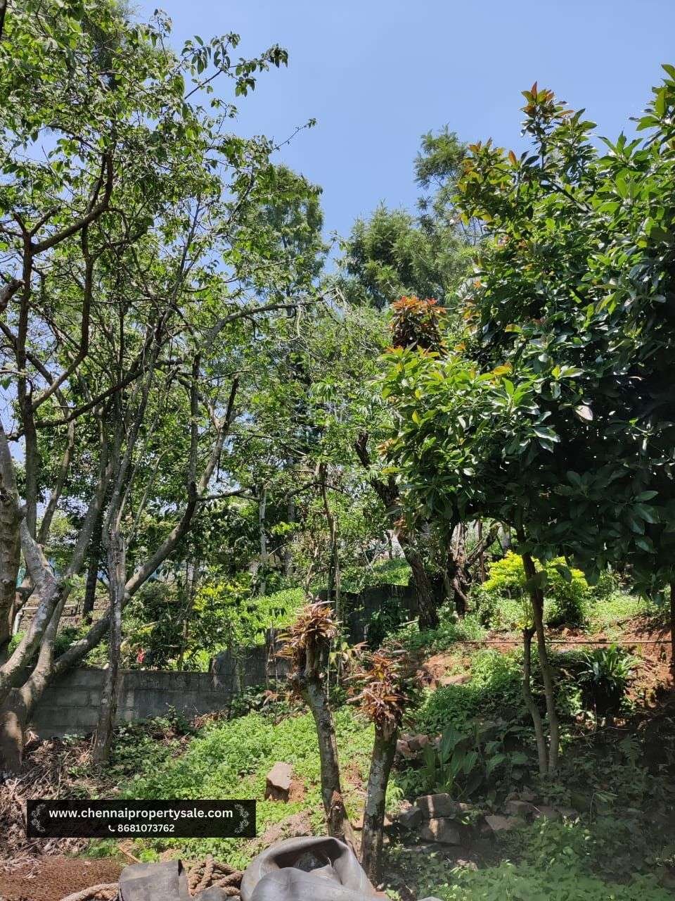 1510 Sqft House Sale in Ooty Kotagiri