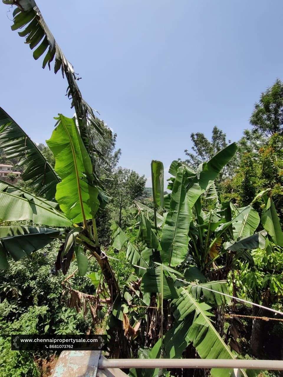 1510 Sqft House Sale in Ooty Kotagiri