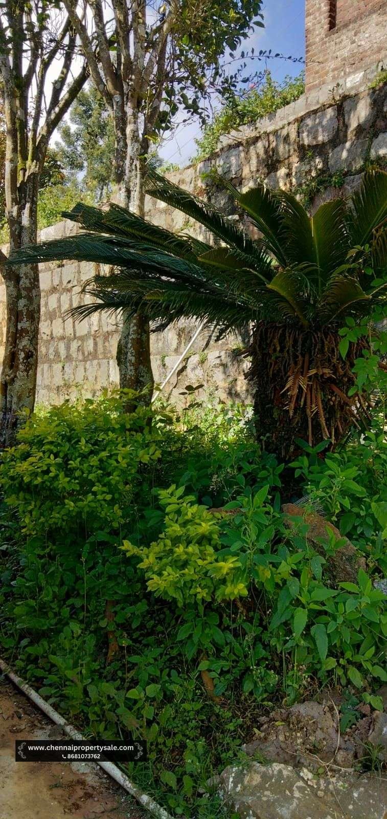 1510 Sqft House Sale in Ooty Kotagiri