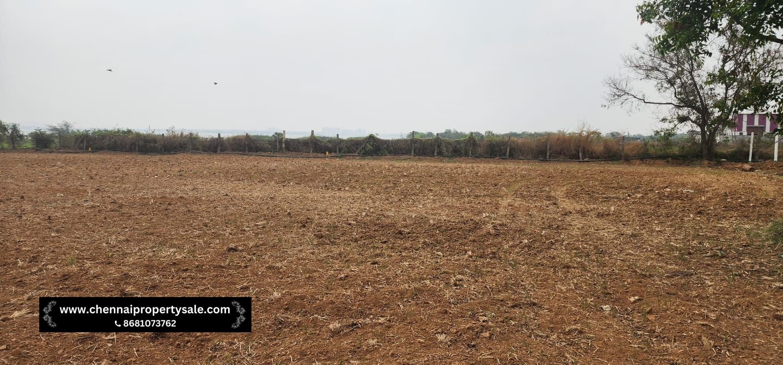 2.25 Acre Farm land Sale Near Redhills