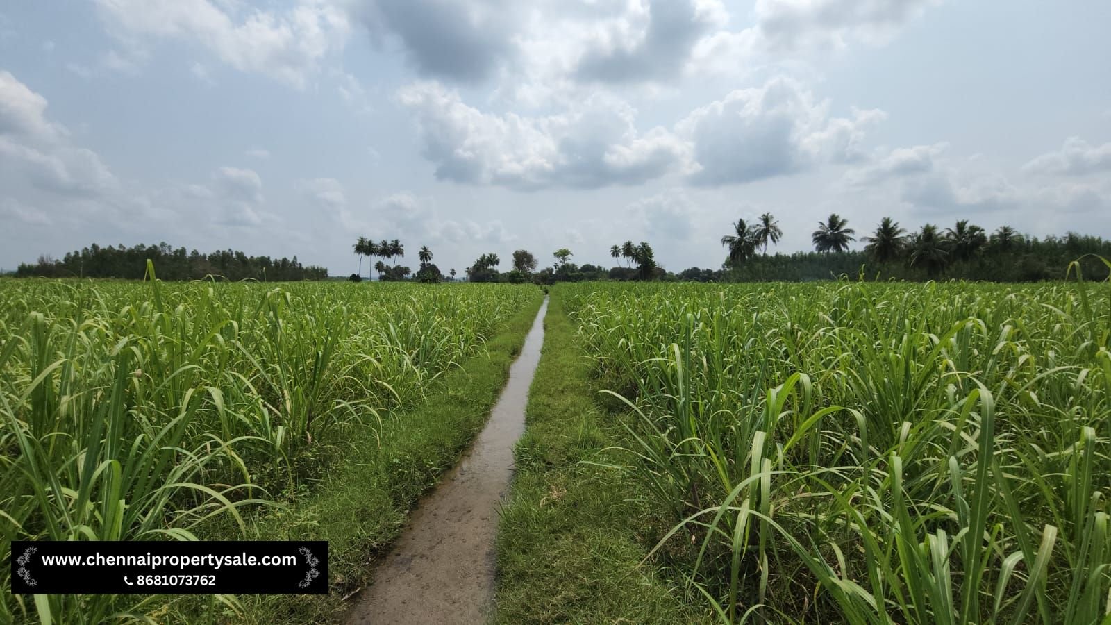 5.20 Acre Farm Land Sale in Pennalurpettai near Andhra Pradesh