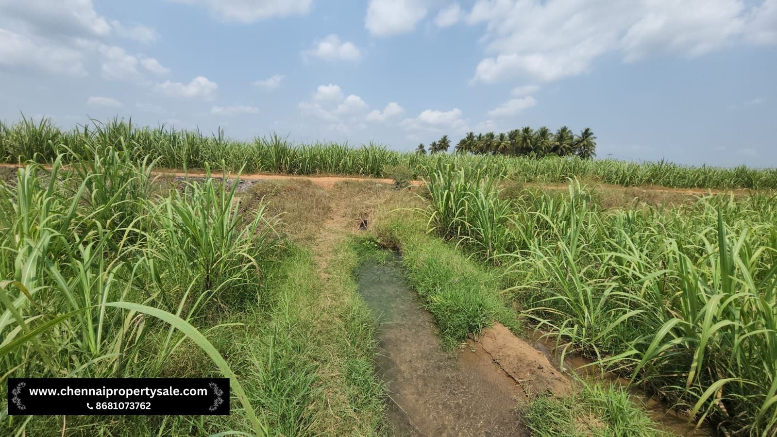 5.20 Acre Farm Land Sale in Pennalurpettai near Andhra Pradesh