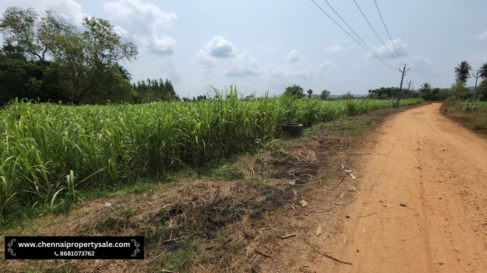 5.20 Acre Farm Land Sale in Pennalurpettai near Andhra Pradesh