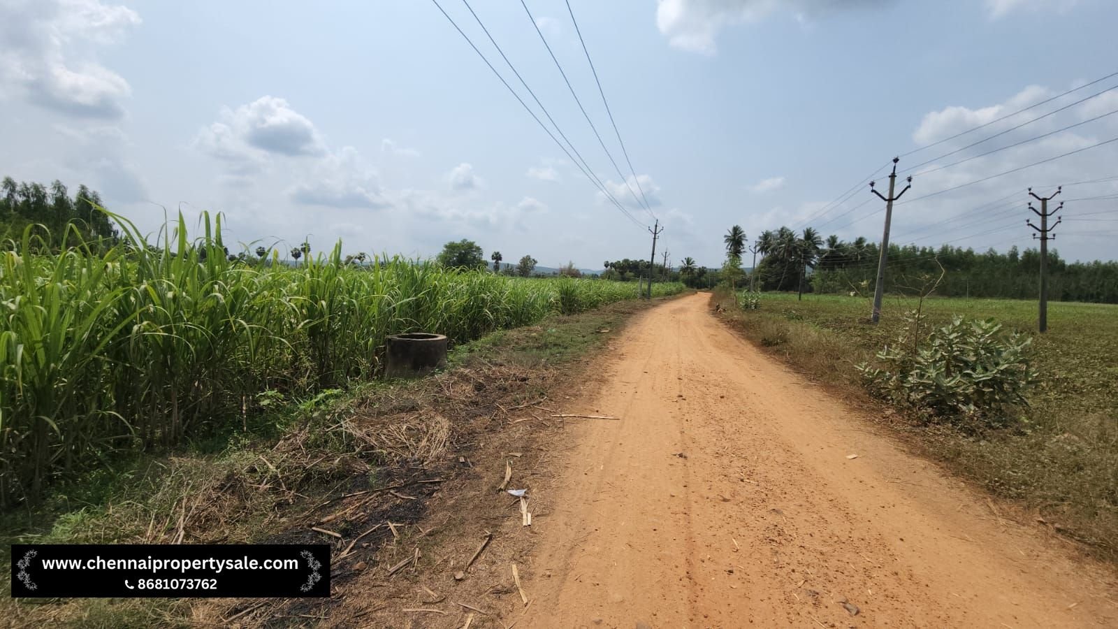 5.20 Acre Farm Land Sale in Pennalurpettai near Andhra Pradesh
