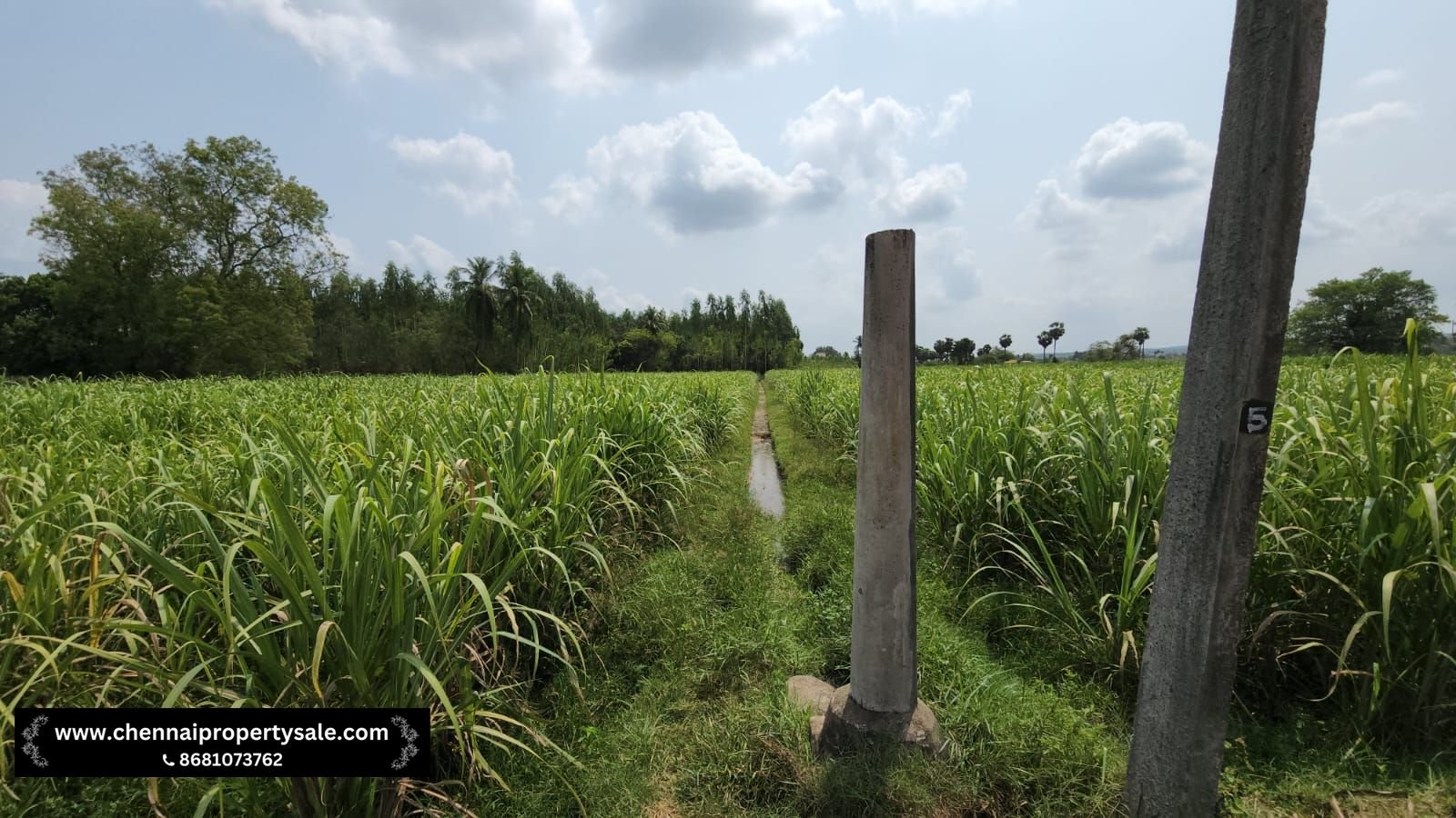 5.20 Acre Farm Land Sale in Pennalurpettai near Andhra Pradesh