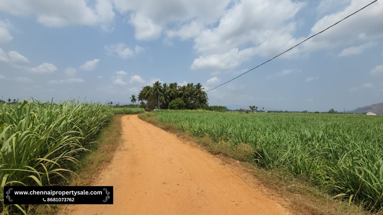 5.20 Acre Farm Land Sale in Pennalurpettai near Andhra Pradesh