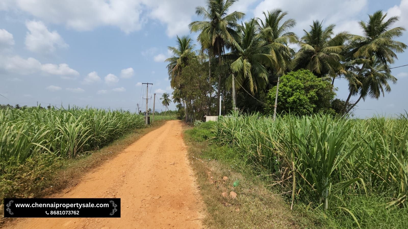 5.20 Acre Farm Land Sale in Pennalurpettai near Andhra Pradesh