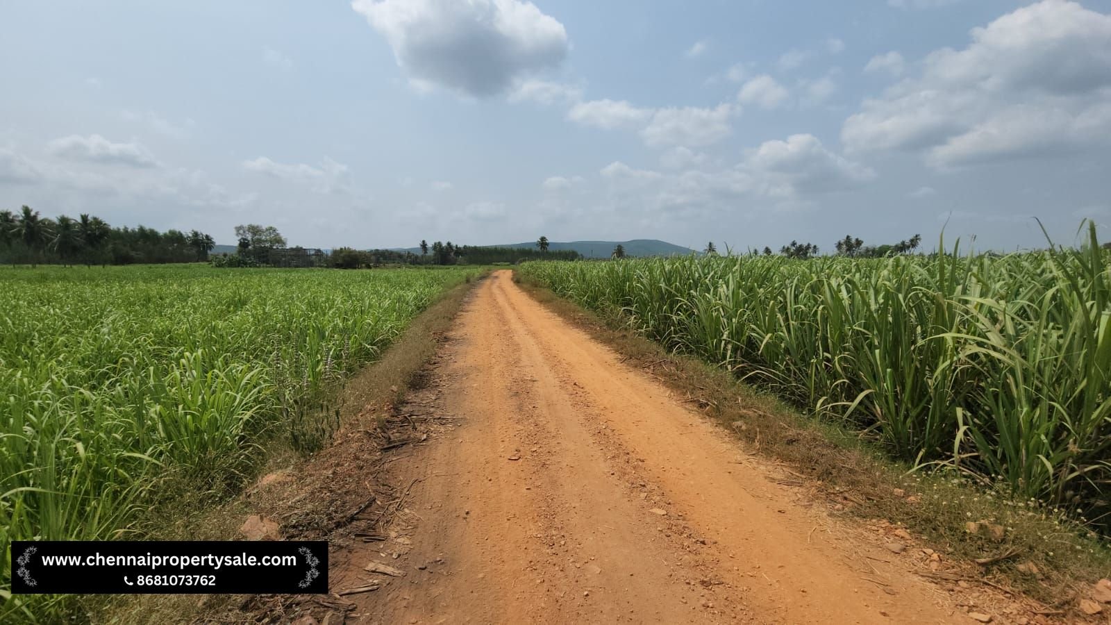 5.20 Acre Farm Land Sale in Pennalurpettai near Andhra Pradesh
