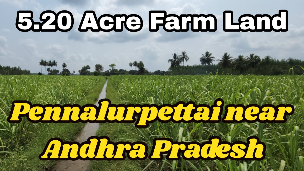 5.20 Acre Farm Land Sale in Pennalurpettai near Andhra Pradesh 67 5.20 Acre Farm Land Sale in Pennalurpettai near Andhra Pradesh