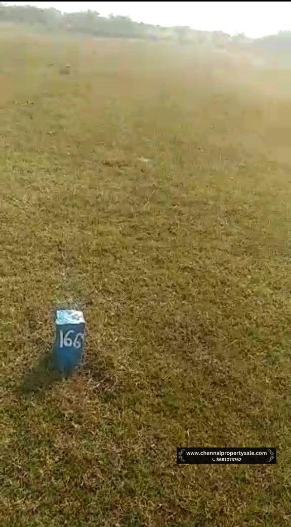 DTCP Approved Plots Sale in Pinjivakkam