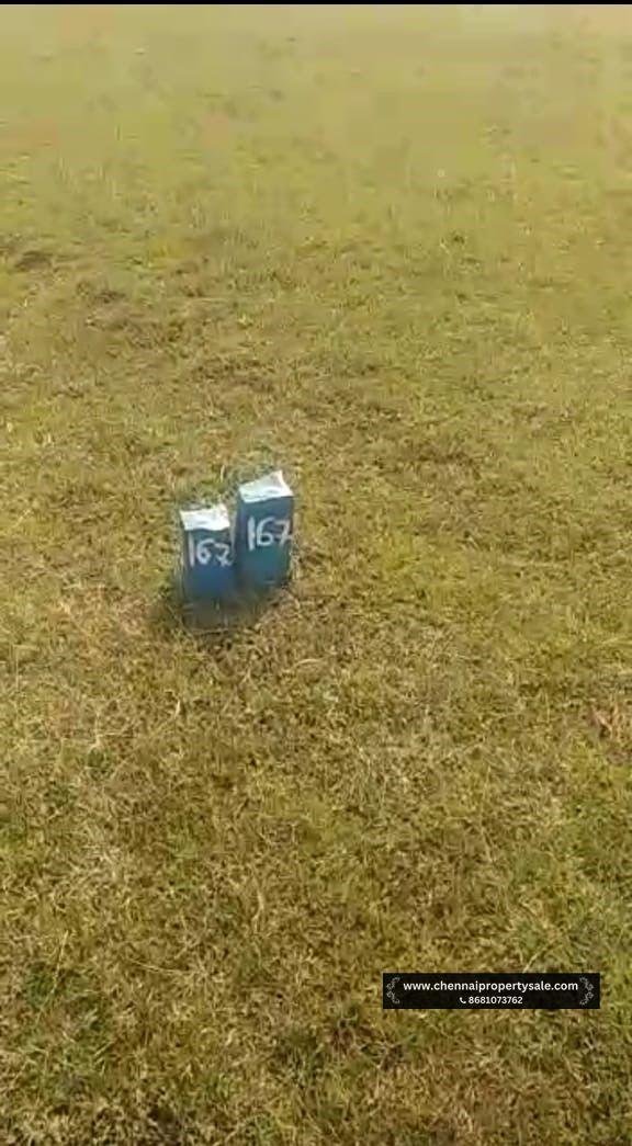 DTCP Approved Plots Sale in Pinjivakkam