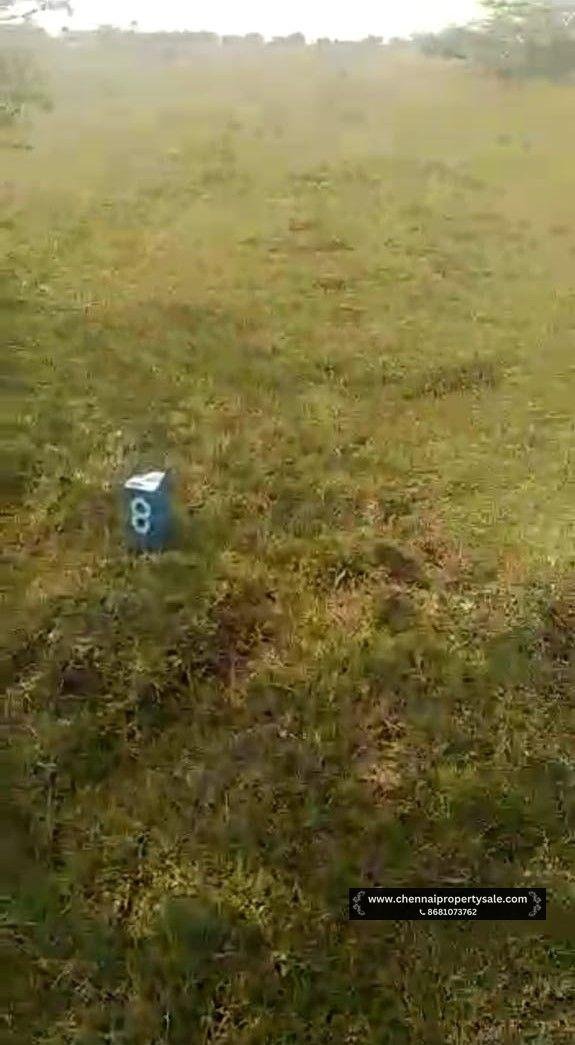 DTCP Approved Plots Sale in Pinjivakkam