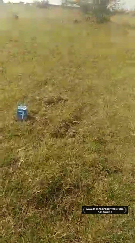 DTCP Approved Plots Sale in Pinjivakkam