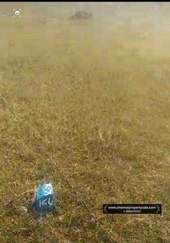 DTCP Approved Plots Sale in Pinjivakkam