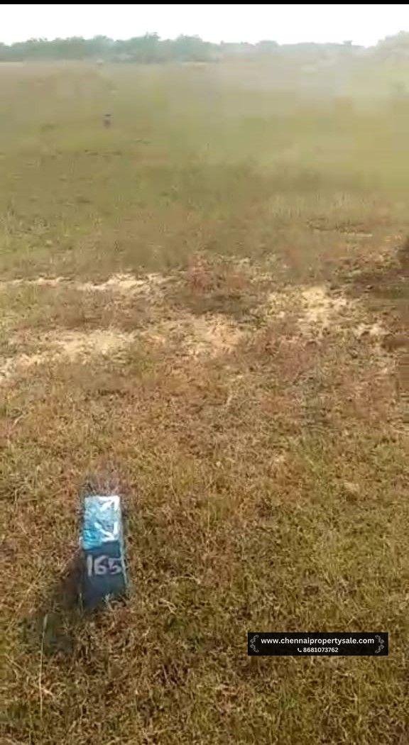 DTCP Approved Plots Sale in Pinjivakkam