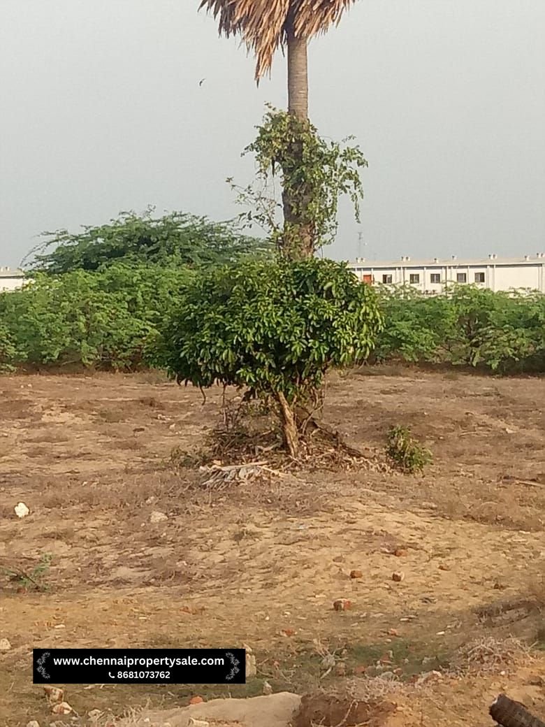 3.5 Acres Land For Sale in Kattupalli