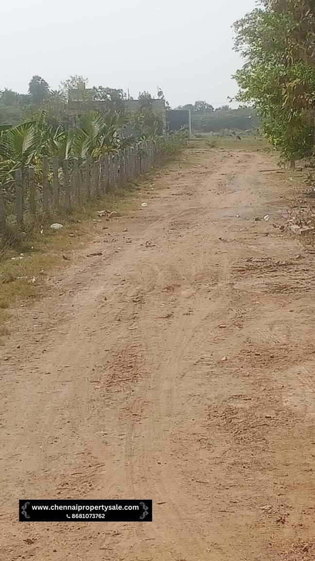 Land Sale in Thiruvalangadu