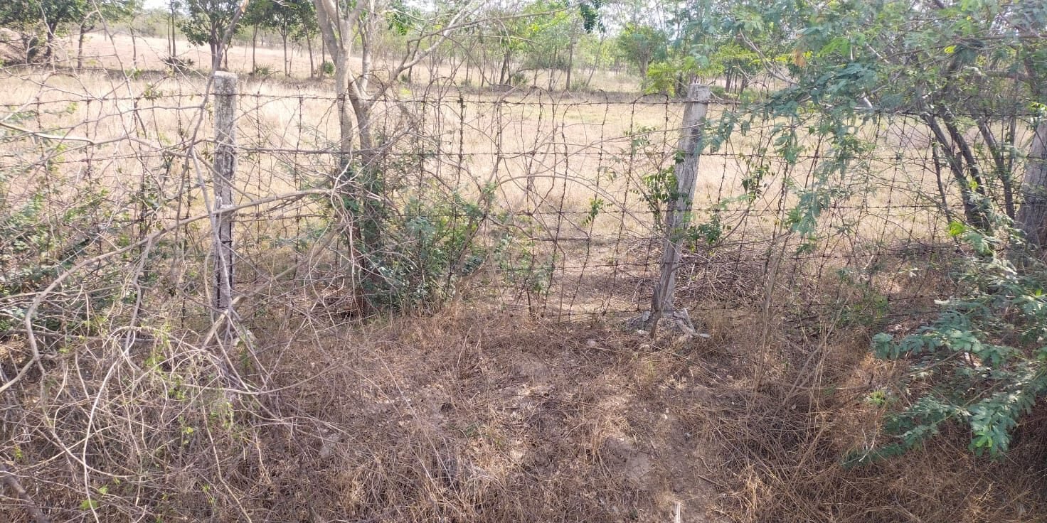 10 Acres Land Sale in Tiruvannamalai