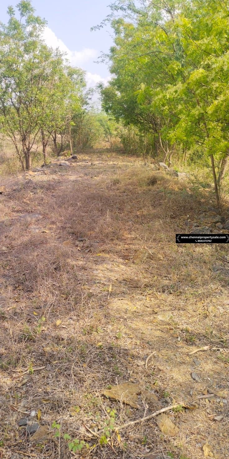10 Acres Land Sale in Tiruvannamalai