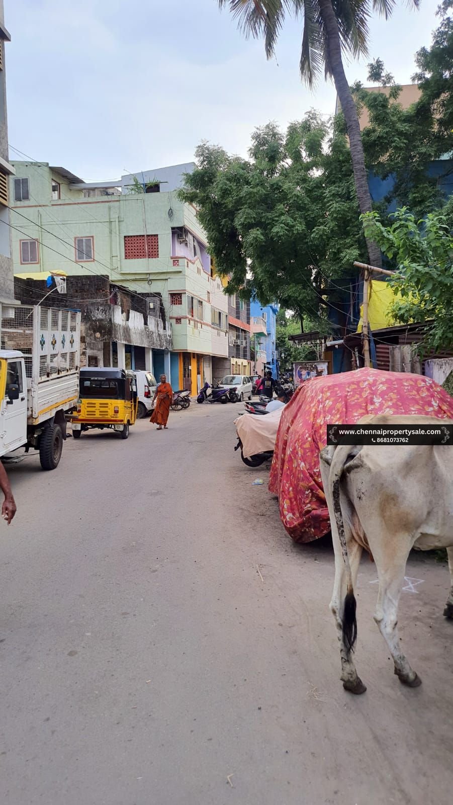 3267 Sqft Vacant Land Sale in Anna Nagar