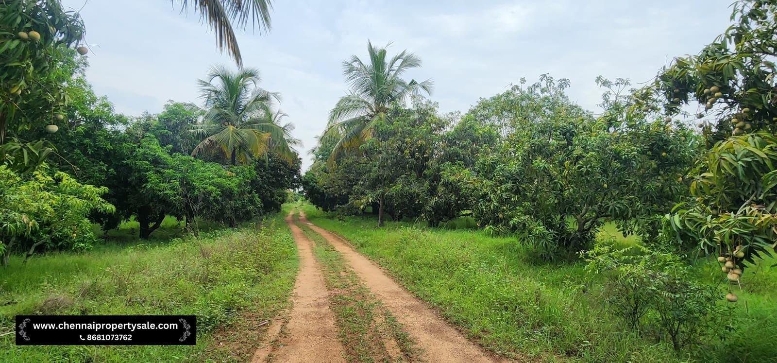 Farm Land Sale Near Sungavarchatram