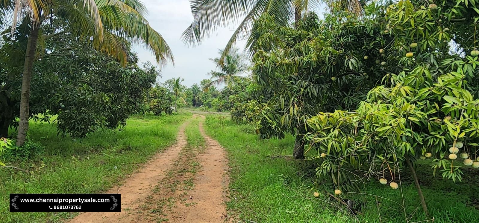 Farm Land Sale Near Sungavarchatram