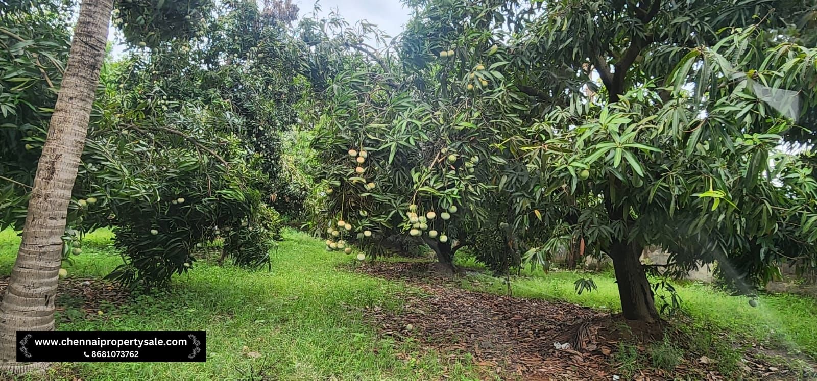 Farm Land Sale Near Sungavarchatram