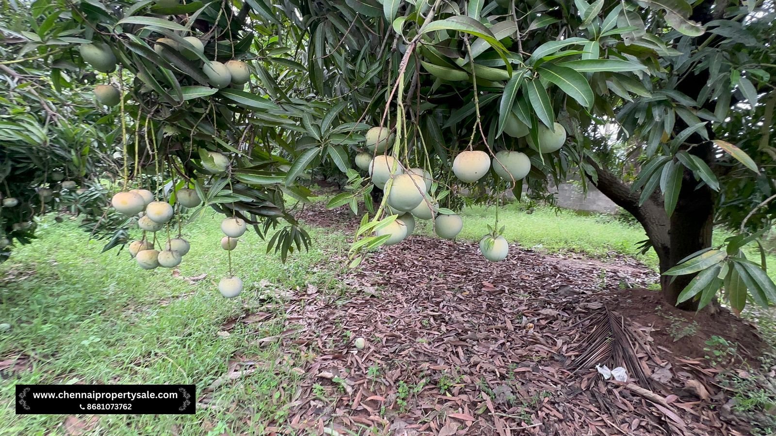 Farm Land Sale Near Sungavarchatram