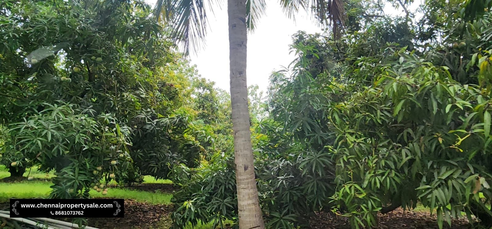 Farm Land Sale Near Sungavarchatram