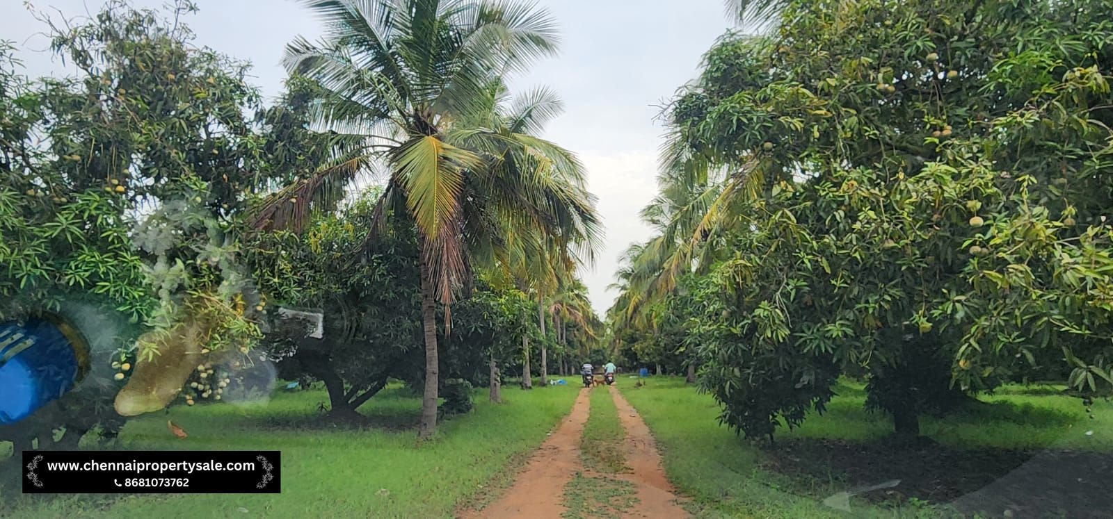 Farm Land Sale Near Sungavarchatram