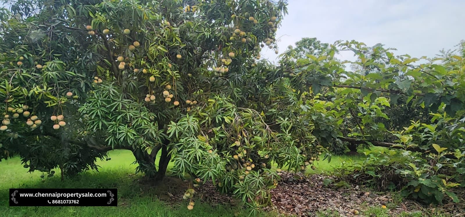 Farm Land Sale Near Sungavarchatram