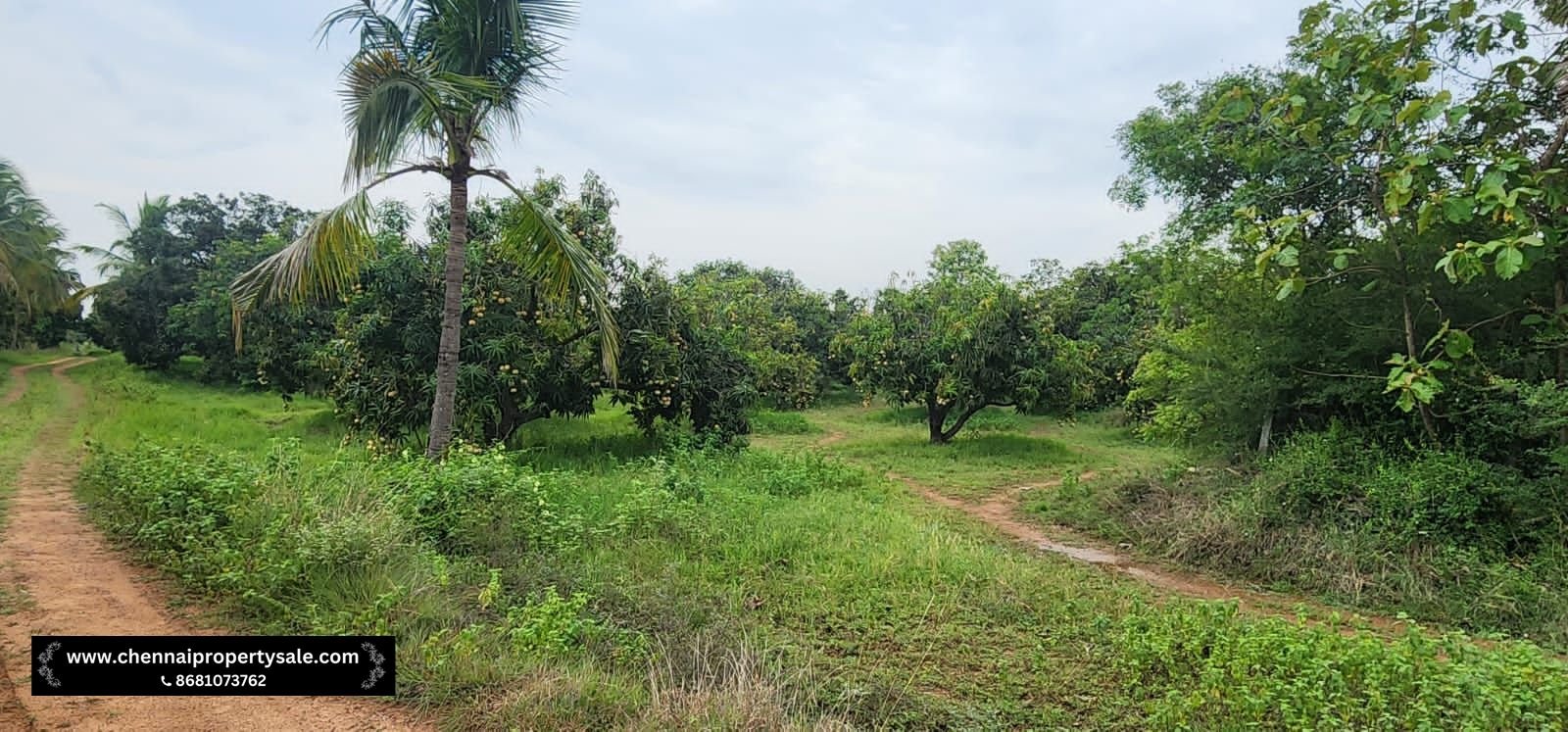 Farm Land Sale Near Sungavarchatram