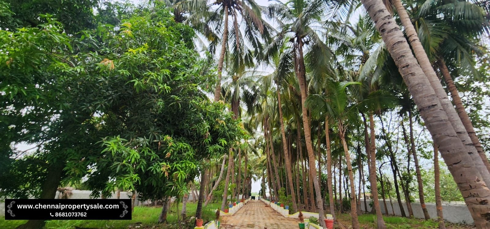 1 Acre Farmland with House Sale in Avadi