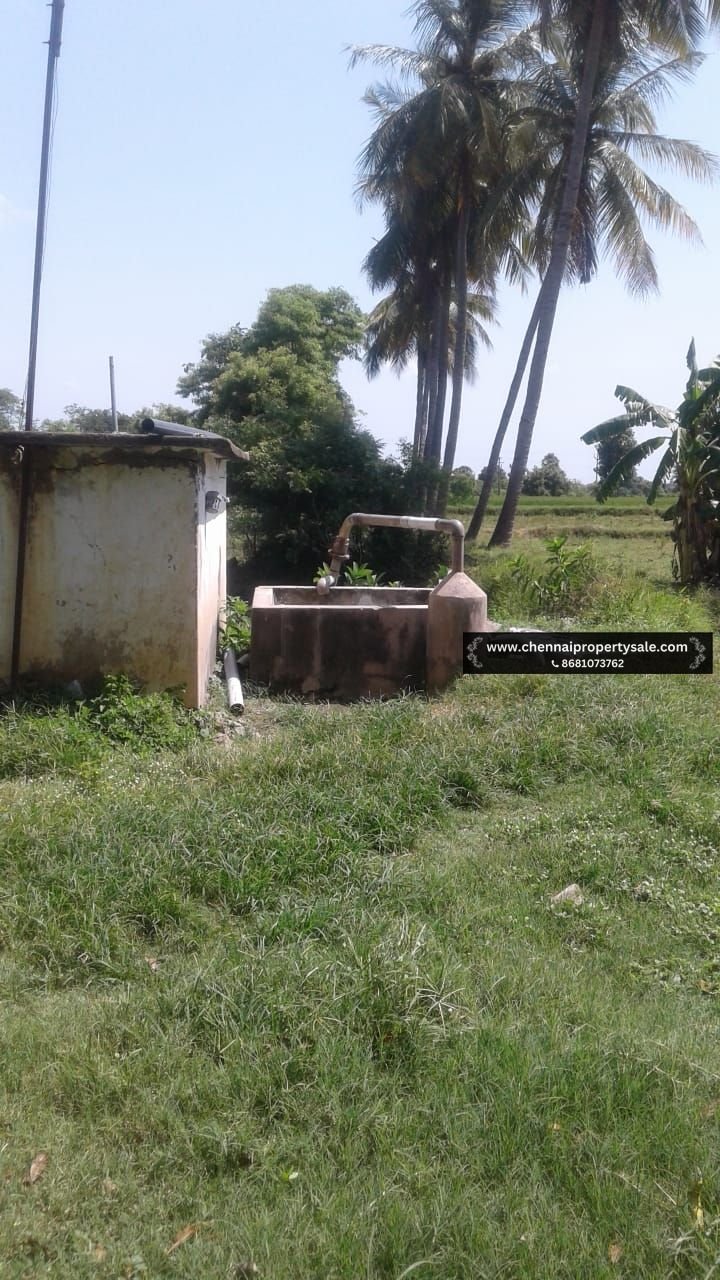 12 Acres Land Sale Near Vandavasi