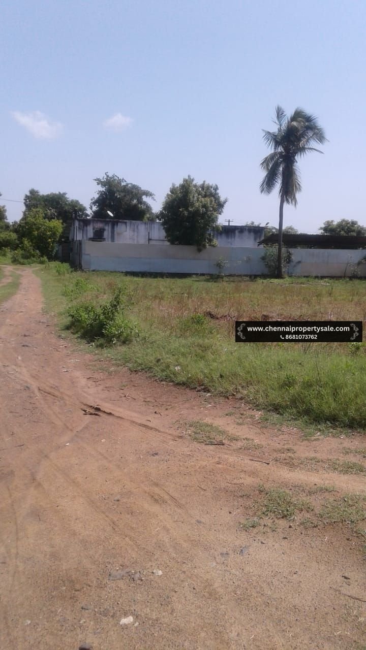 12 Acres Land Sale Near Vandavasi
