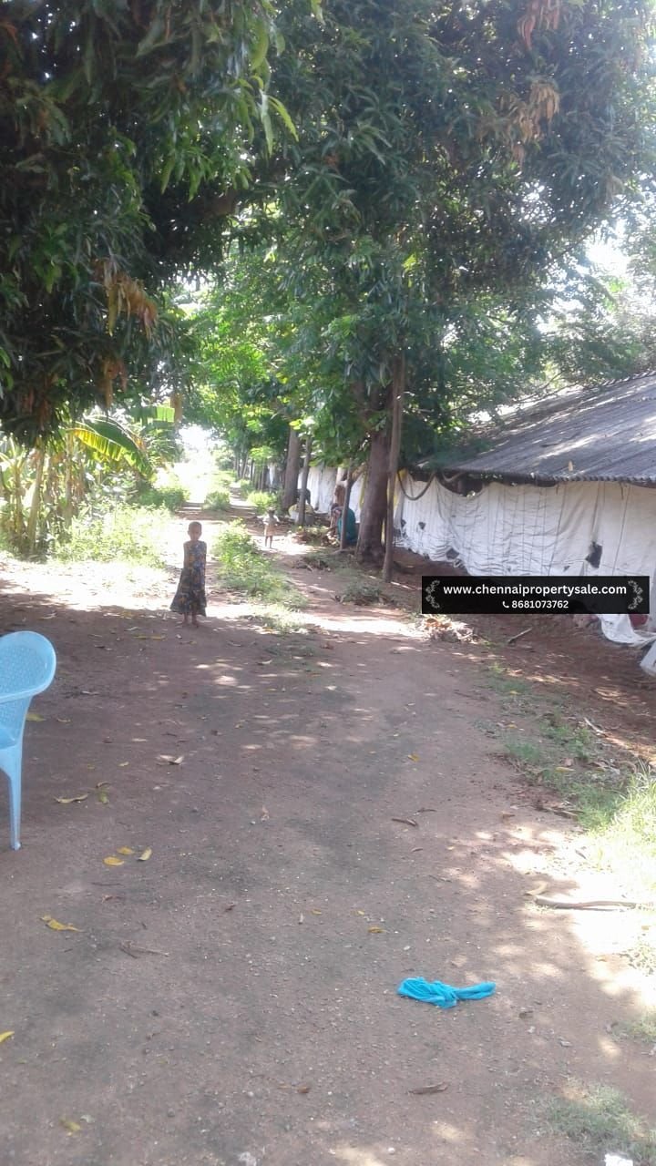 12 Acres Land Sale Near Vandavasi
