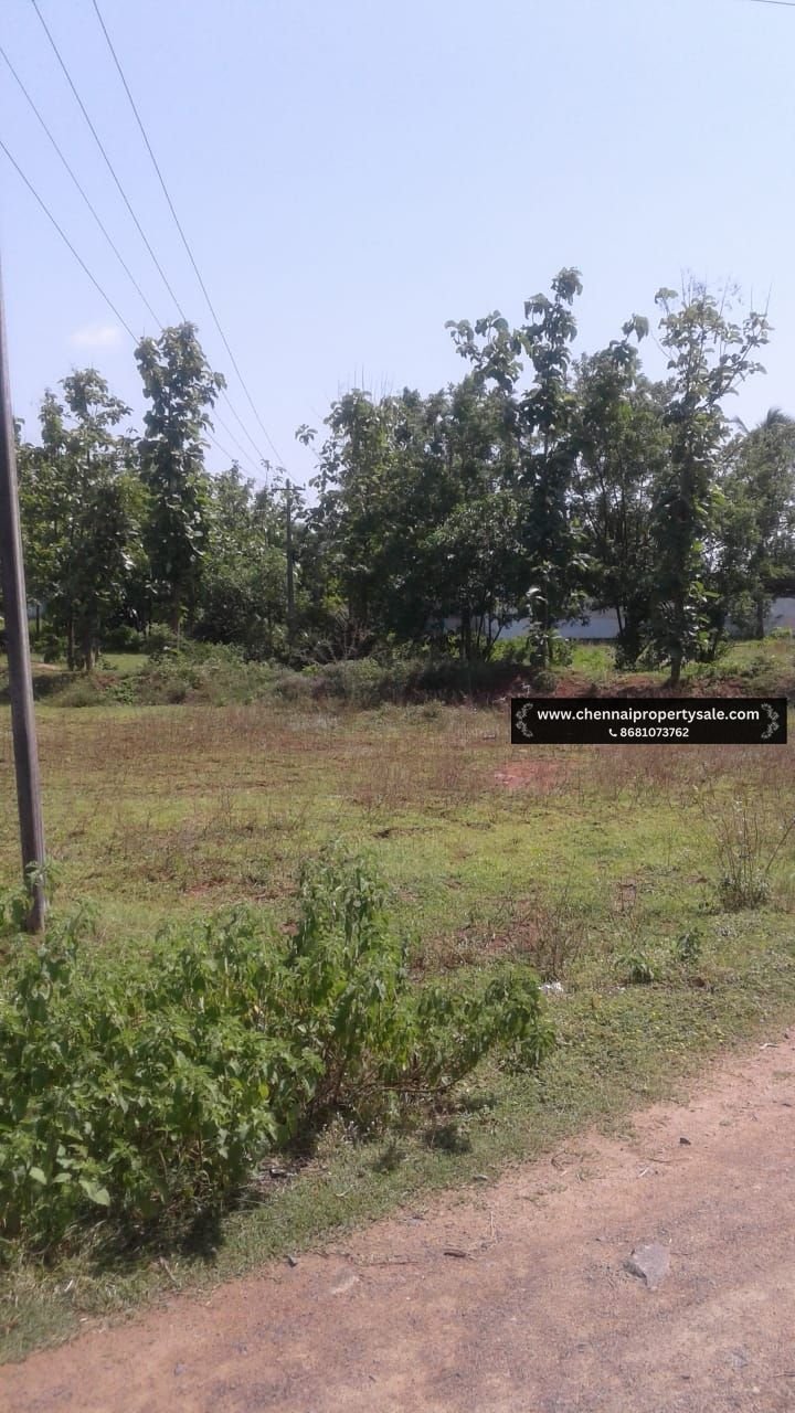 12 Acres Land Sale Near Vandavasi