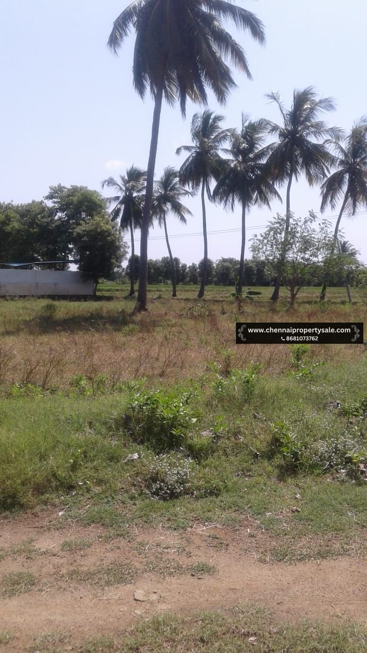 12 Acres Land Sale Near Vandavasi