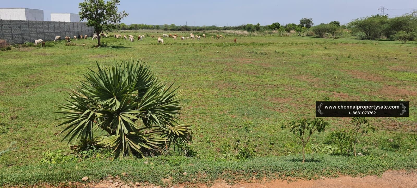 2 Acre Farm Land Sale Near Poondi