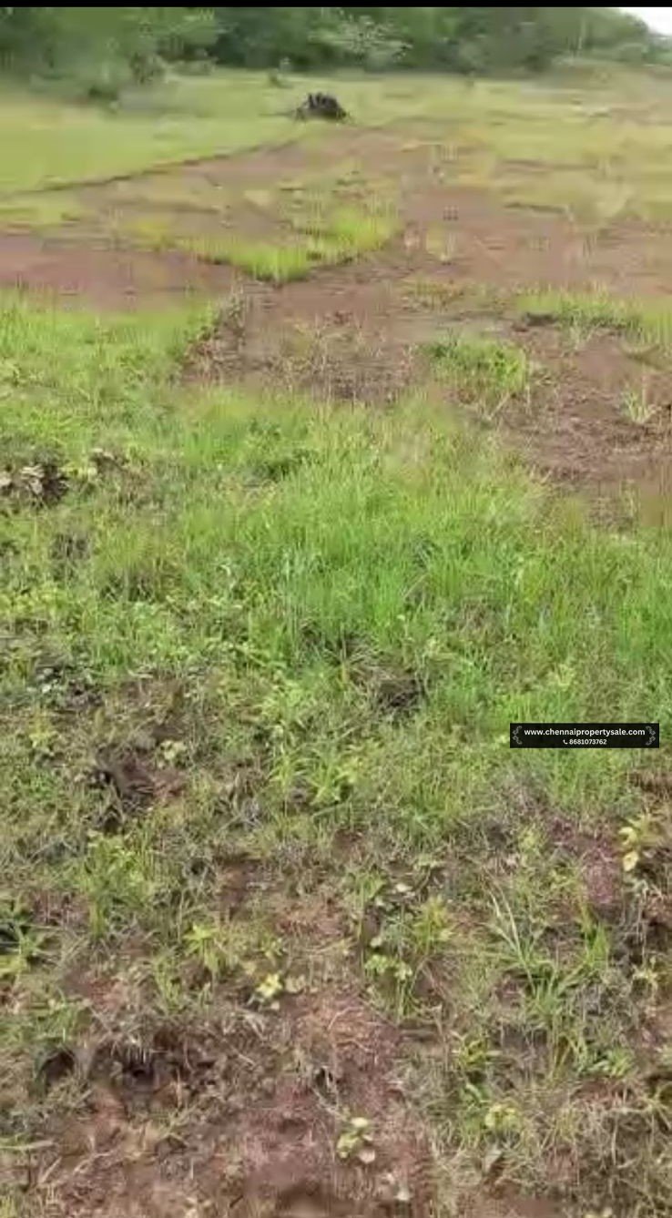 2 Acre Farm Land Sale Near Poondi