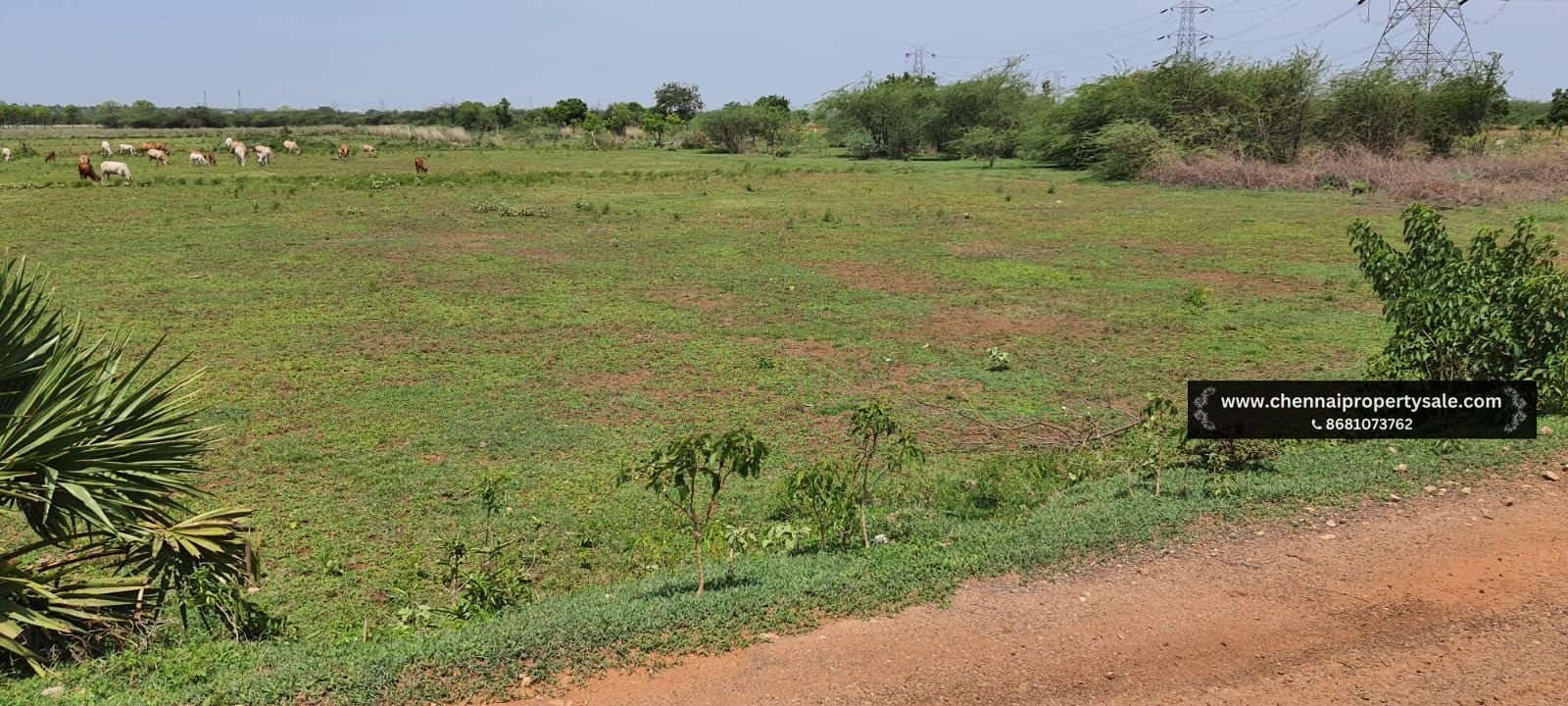 2 Acre Farm Land Sale Near Poondi