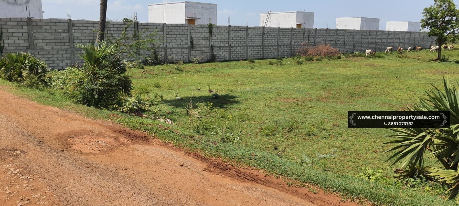 2 Acre Farm Land Sale Near Poondi